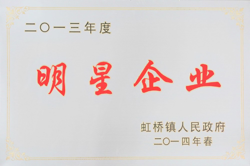 2013年度明星企业