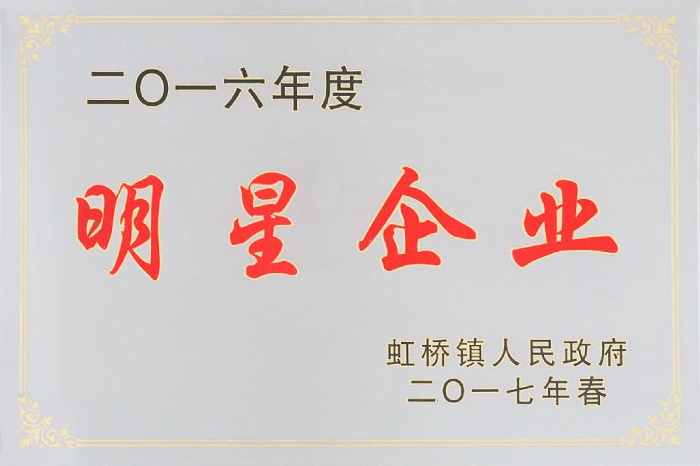 2016年度明星企业