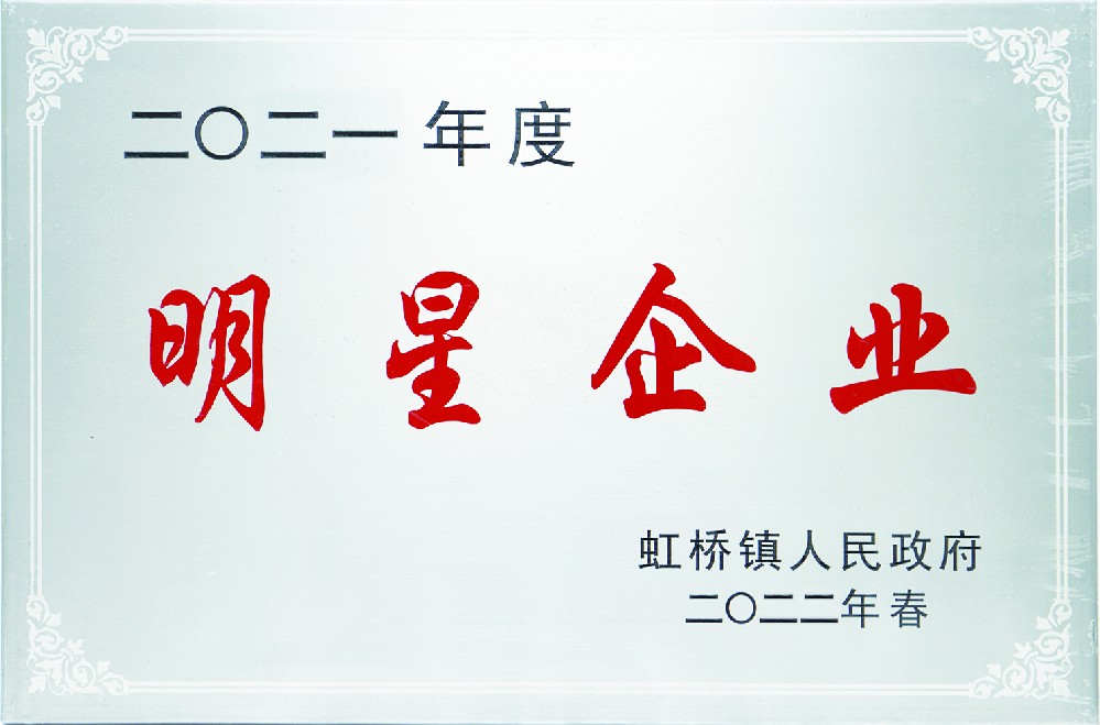 2021年度明星企业