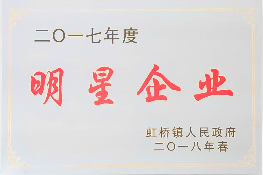 2017年度明星企业