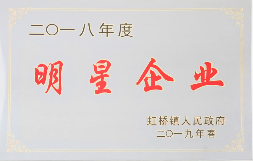 2018年度明星企业